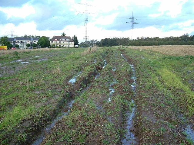 2004_0923_181006 (5).JPG - Fläche südl. des Bauträgerbereiches wurde durch das Befahren verdichtet, dadurch schlechte Versickerung.